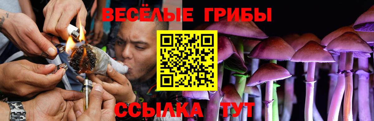 Сафоново  Галлюциногенные грибы Psilocybe  Вход с VPN 